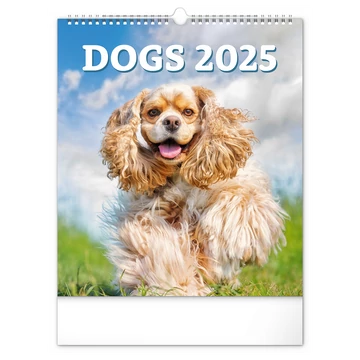 Falinaptár képes  300x340mm Dogs Realsystem 2026.