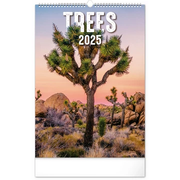 Falinaptár képes  330×460mm Trees  Realsystem 2026.