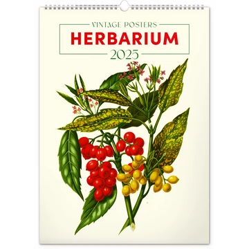Falinaptár képes  330×460mm Vintage Posters-Herbarium Realsystem 2026.