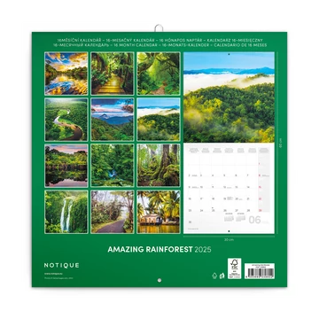 Falinaptár képes lemeznaptár 300x300mm, Amazing Rainforest Realsystem 2026.