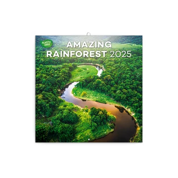 Falinaptár képes lemeznaptár 300x300mm, Amazing Rainforest Realsystem 2026.