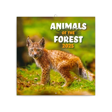 Falinaptár képes lemeznaptár 300x300mm, Endangered Animals Realsystem 2026.