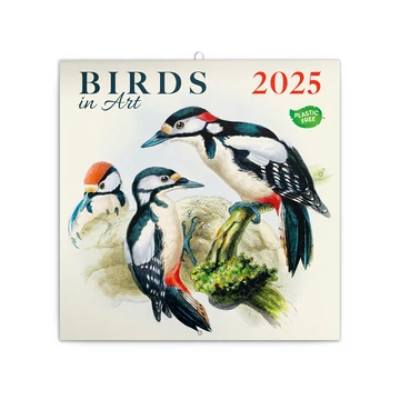 Falinaptár képes lemeznaptár 300x300mm, Birds in Art Realsystem 2026.