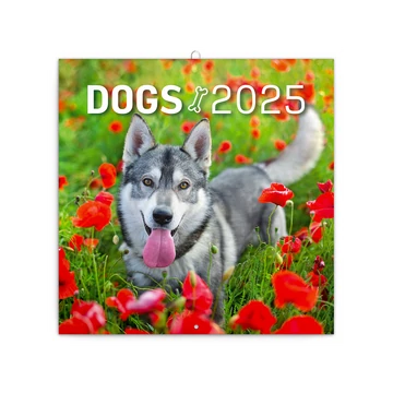 Falinaptár képes lemeznaptár 300x300mm, Dogs Realsystem 2026.