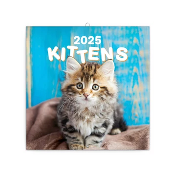 Falinaptár képes lemeznaptár 300x300mm, Kittens Realsystem 2026.