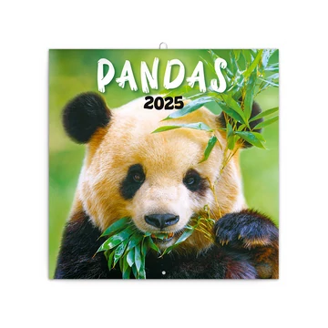 Falinaptár képes lemeznaptár 300x300mm, Pandas Realsystem 2026.