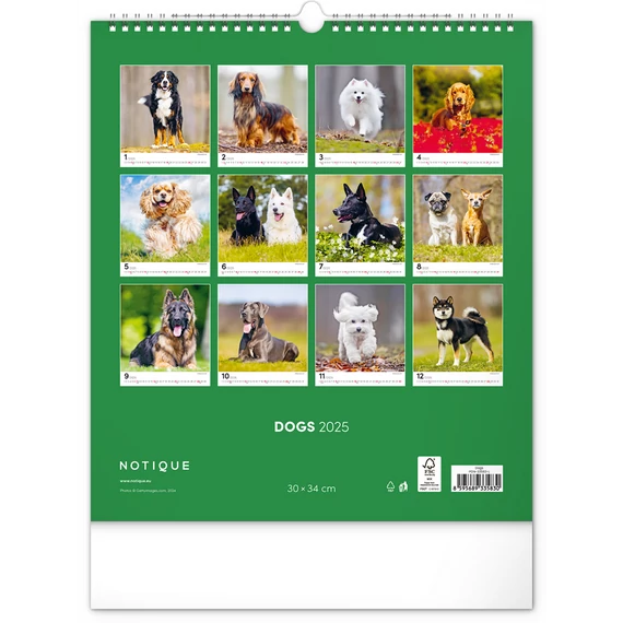 Falinaptár képes  300x340mm Dogs Realsystem 2026.