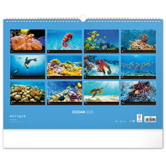 Falinaptár képes  480×330mm Ocean Wildlife Realsystem 2026.