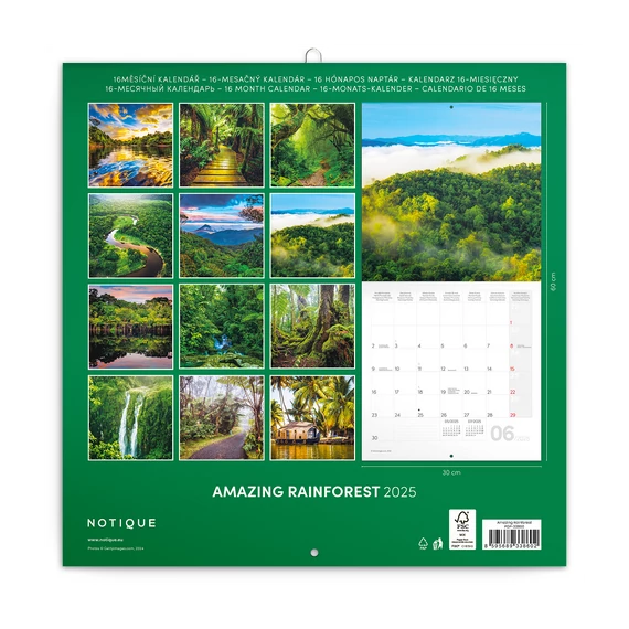 Falinaptár képes lemeznaptár 300x300mm, Amazing Rainforest Realsystem 2026.