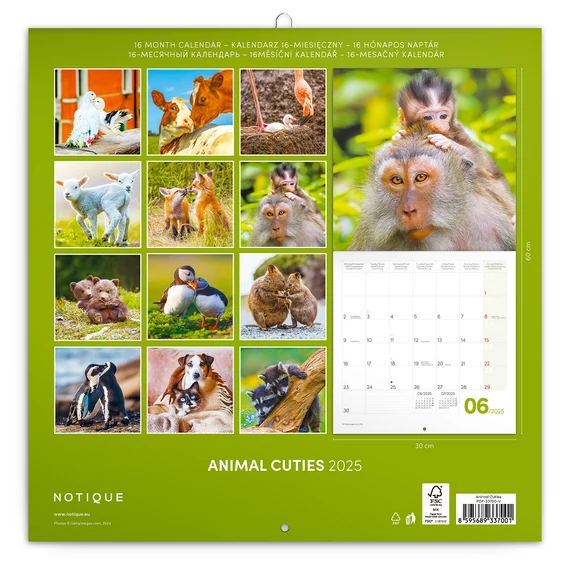 Falinaptár képes lemeznaptár 300x300mm, Animal Cuties Realsystem 2026.