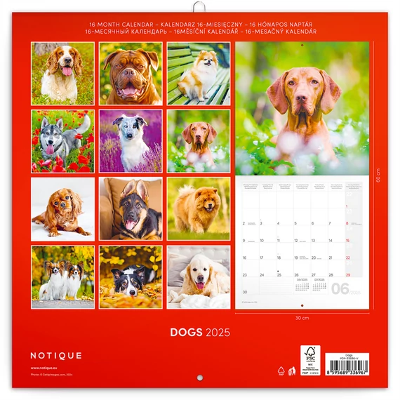 Falinaptár képes lemeznaptár 300x300mm, Dogs Realsystem 2026.