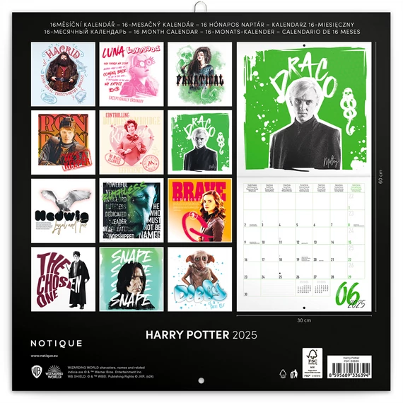 Falinaptár képes lemeznaptár 300x300mm, Harry Potter Realsystem 2026.