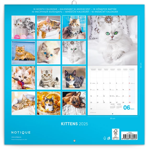 Falinaptár képes lemeznaptár 300x300mm, Kittens Realsystem 2026.
