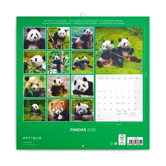 Falinaptár képes lemeznaptár 300x300mm, Pandas Realsystem 2026.