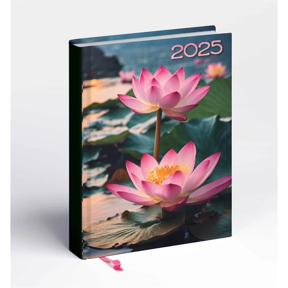 Határidőnapló Librobella hölgyeknek B/6, napi lepke Realsystem 2026.