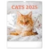 Falinaptár képes  300x340mm Cats Realsystem 2026.