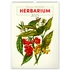 Falinaptár képes  330×460mm Vintage Posters-Herbarium Realsystem 2026.