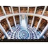Falinaptár képes 420 × 560 mm, fehér lapokkal Bibliotheca Dayliner 2026.