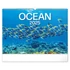 Falinaptár képes  480×330mm Ocean Wildlife Realsystem 2026.