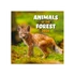 Falinaptár képes lemeznaptár 300x300mm, Endangered Animals Realsystem 2026.