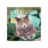 Falinaptár képes lemeznaptár 300x300mm, Cats Realsystem 2026.