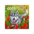Falinaptár képes lemeznaptár 300x300mm, Dogs Realsystem 2026.
