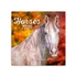 Falinaptár képes lemeznaptár 300x300mm, Horses – Christiane Slawik Realsystem 2026.