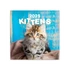 Falinaptár képes lemeznaptár 300x300mm, Kittens Realsystem 2026.