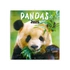 Falinaptár képes lemeznaptár 300x300mm, Pandas Realsystem 2026.